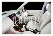 Maruti Alto A-star Wagon-R Estilo Ritz Swift Dezire Sx4 Car Leather Se