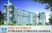 New Real Estate projects in pune Margosa Phase2