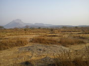 SHAHAPUR  9000 ACRE TABLE PLOT FOR IMMEDIATE SALE  KINGS REAL ESTATE 