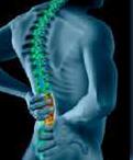 Spine – MAX for Back Pain & Neck Pain