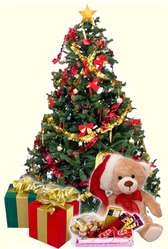 Buy Christmas Gifts Online - Petals N Gifts