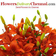 Flowers to color up your Chennai connections