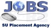 Placement Consultancy 100% Placement.