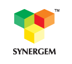 SYNERGEM - Theremal Power Plant Training Institute in Nagpur