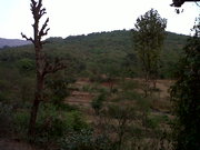 Land for sale in Maharashtra,  Rs one lakh per Acre.