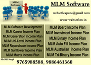 Pune: mlm software company,  mlm software 