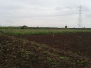 23 Acre Agricultural land for sale near Pimpalgaon Baswant