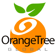 SAS,  Analytics,  R,  VBA,  SPSS” Training by OrangeTree Global