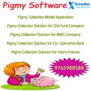 Pigmy Software,  Daily Collection Software