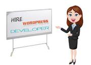 VIT Solutions nagpur india Hire wordpress Developer