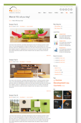 Website Design Development & SEO Services Pune – Developdreamz 