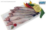 Get Fresh Quality Of Bombay Duck From Hamviseafoods: Now And Always