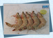 Get Your Hands On Fresh King Fish Online With Hamvi Seafoods