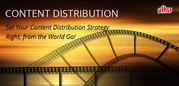 Content Distribution Company in India