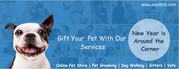 Buy dog food online from woofbnb pet food online