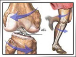 Knee Surgeon in Mumbai | Dr. Amyn Rajani