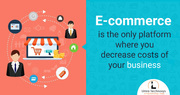 Develop Ecommerce Website for your Business in Low budget