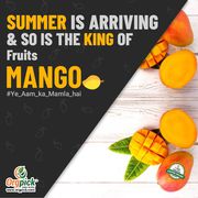  Buy Fresh Organic Mango Online in Mumbai