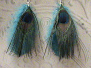 Checkout  an Exclusive Collection of Feather Earrings