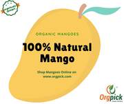 Purchase Online Farm-Fresh Organic Mangoes At Best Price