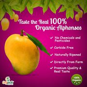 Buy 100% Organic Alphonso Mangoes