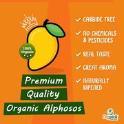 Organic Premium Quality Alphonso Mangoes Online