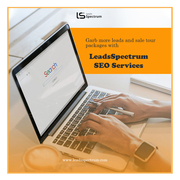 SEO services - LeadsSpectrum