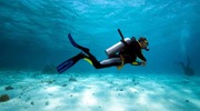Scuba Diving in Goa