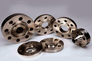Stainless Steel Tongue And Groove Flanges