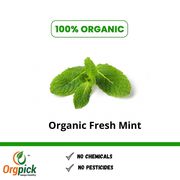 Shop Organic fresh mint online