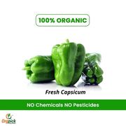 Buy Organic Green Capsicum Online