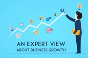 An Expert Views About Business Growth