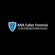 Cyber Security Consultant | anacyber.com