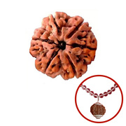 Buy 6 mukhi rudraksha online