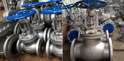 Buy Best Globe Valves Products In India