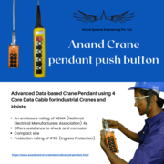 Pendant push button station for EOT crane