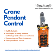 Crane Pendant push button manufacturer in Mumbai