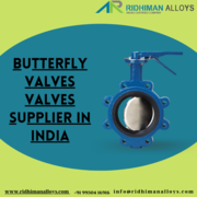 Butterfly Valves Supplier in India