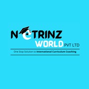 Netrinz World Pvt Ltd - Best igcse academy in kandivali west