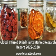 Global Infused Dried Fruits Market Research Report 2022-2028