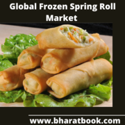 Global Frozen Spring Roll Market 