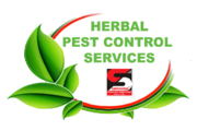 Pest Control Services in Kandivali - Sadguru Pest Control