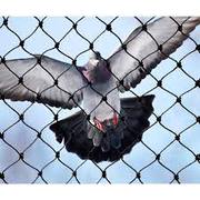 Bird Netting Services in Viman Nagar - Angad Bird Netting