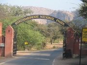 Ranthambore National Park | Ranthambhore Wildlife Sanctuary