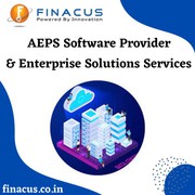Enterprise Solutions Services | AEPS Software Provider
