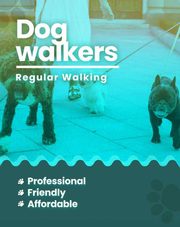  Dog walking services Mumbai 
