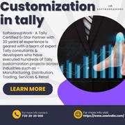 Customizing Tally for Business Success: The Benefits of Tally Customiz
