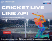 Cricket Live Line API Development Company in jaipur Rajasthan