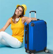 Luggage courier service
