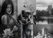 Explore the World of Drawing Online Classes